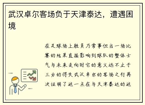 武汉卓尔客场负于天津泰达，遭遇困境