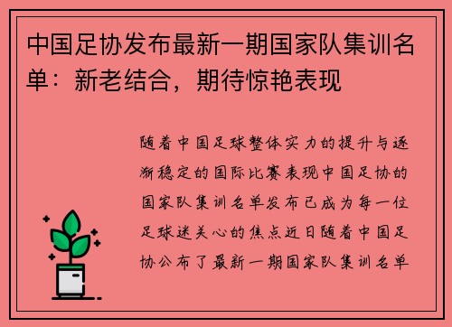 中国足协发布最新一期国家队集训名单：新老结合，期待惊艳表现